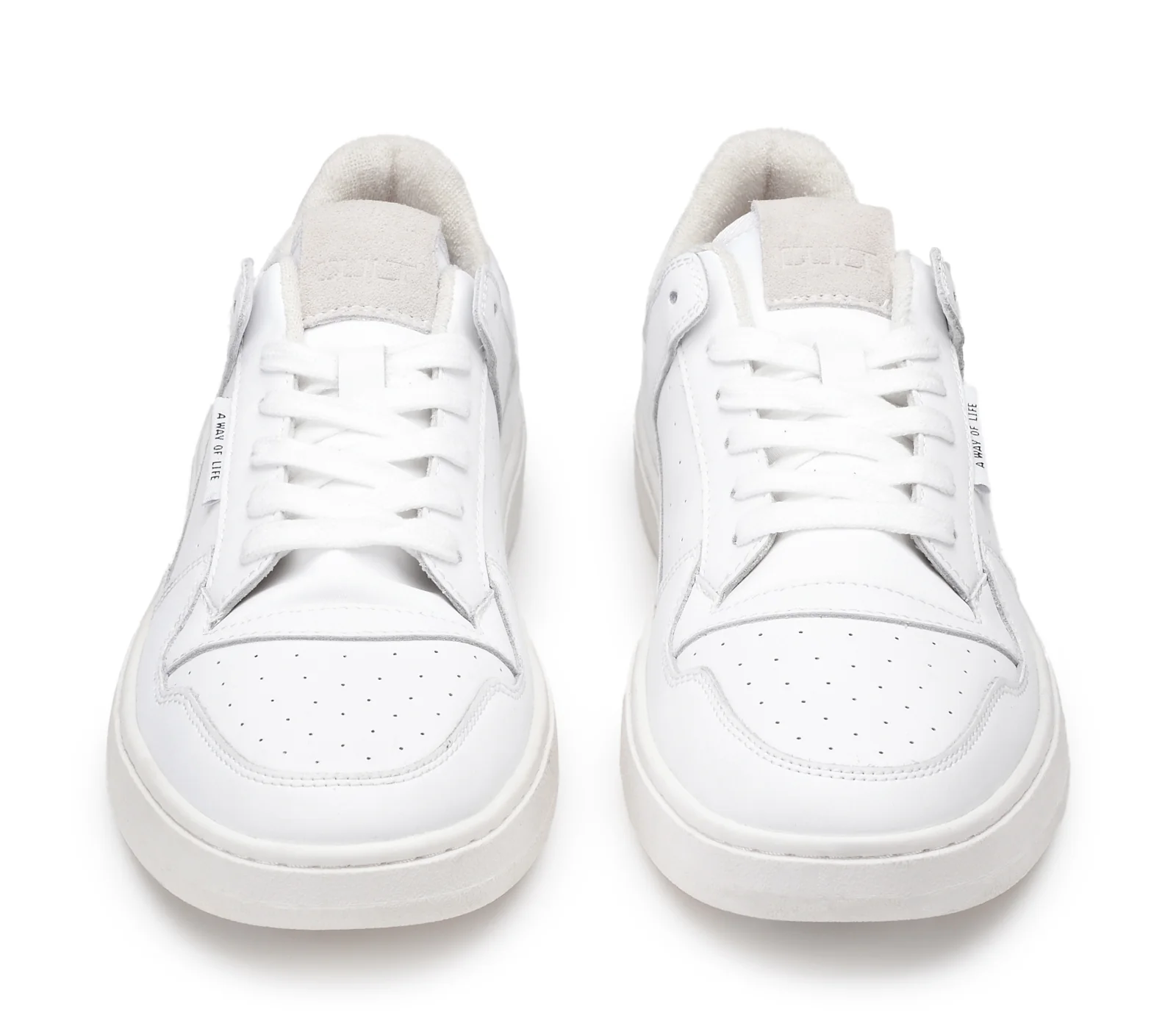 IRON 4325 - Image 4